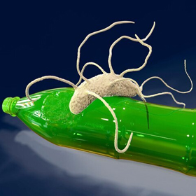 Mikroplastiklerin Biyolojik Yıkımı: Ideonella Sakaiensis'in Potansiyeli ve Geleceği